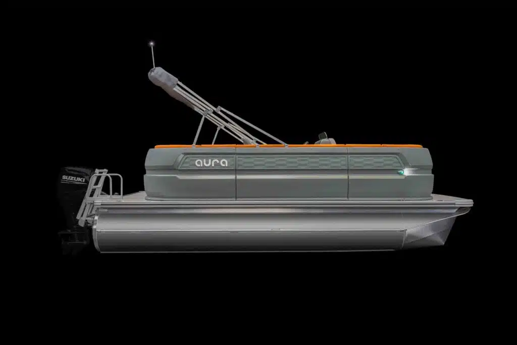 Phoenix gallery image 3